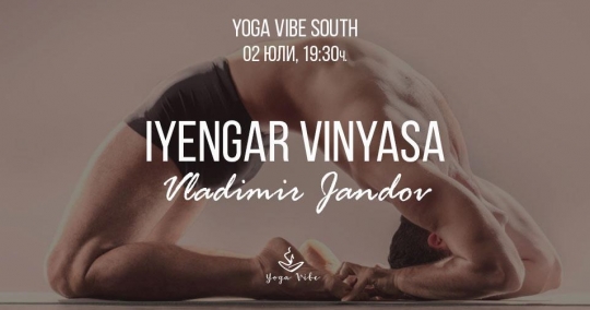 Iyengar Vinyasa with Vladimir Jandov from Los Angeles